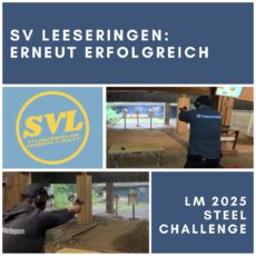 Landesmeisterschaft Steelchallenge
